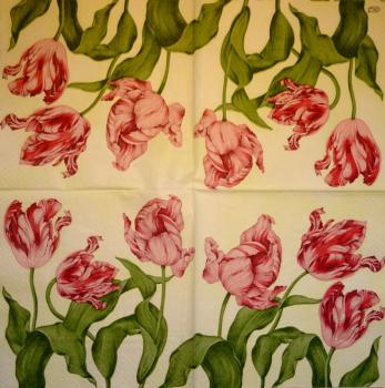 228 Tulips - 3-ply - Paw